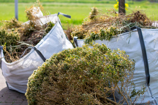 Best Appliance Removal Near Me  in Barberton, OH